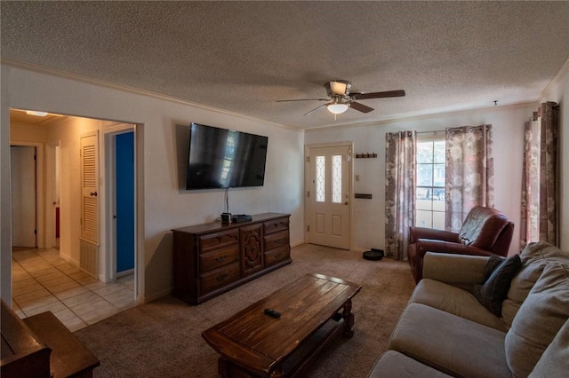 carpeted living room with ceiling fan, crown molding, and a textured ceiling