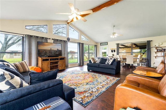 living area with beamed ceiling, high vaulted ceiling, a ceiling fan, and wood finished floors