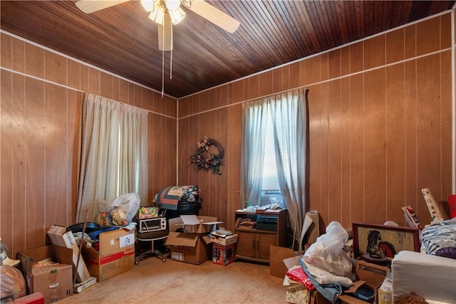 interior space featuring carpet flooring, ceiling fan, and wood walls