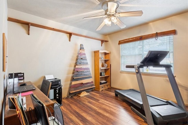 exercise area with wood finished floors and a ceiling fan