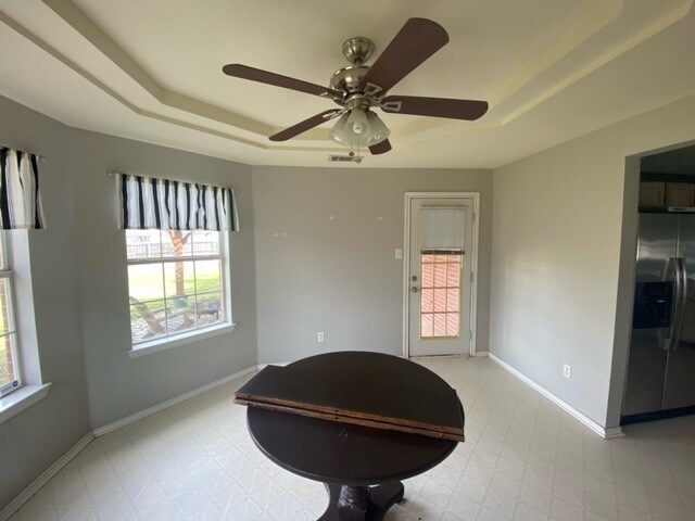 interior space featuring a raised ceiling, a wealth of natural light, and ceiling fan