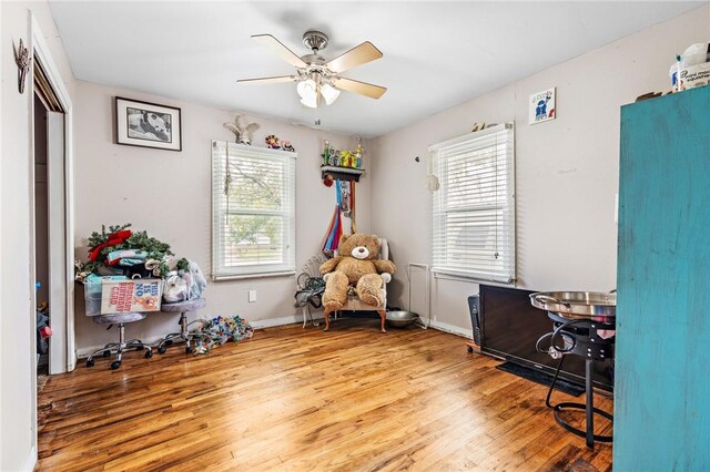 office space featuring hardwood / wood-style floors and ceiling fan