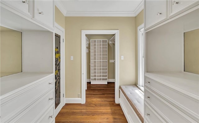 walk in closet featuring dark hardwood / wood-style floors