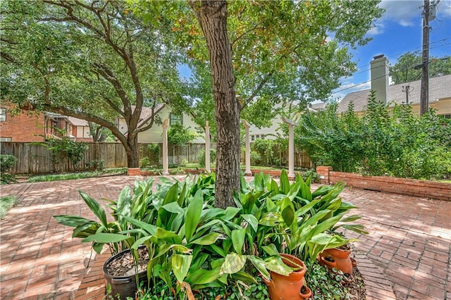 view of yard with a patio area