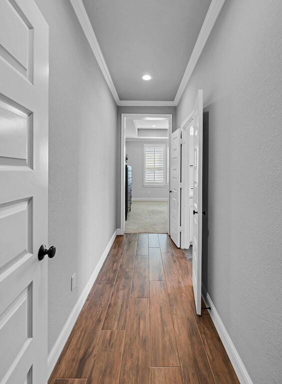 hallway featuring crown molding and dark hardwood / wood-style floors