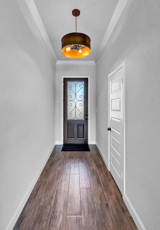 foyer featuring ornamental molding and dark hardwood / wood-style floors