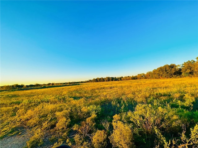 Listing photo 3 for TBD Fm 931, Gatesville TX 76528