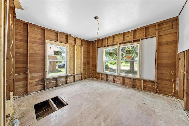 miscellaneous room with wood walls and plenty of natural light