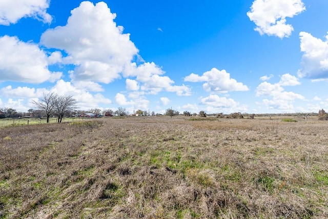 view of local wilderness featuring a rural view