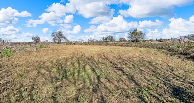 view of yard with a rural view