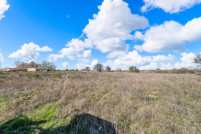 view of local wilderness with a rural view