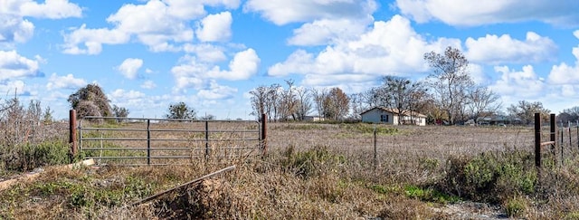 view of yard featuring a rural view