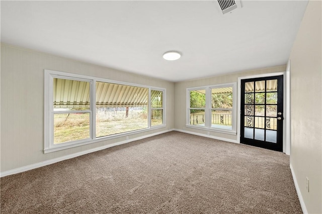 unfurnished room featuring carpet floors and a wealth of natural light