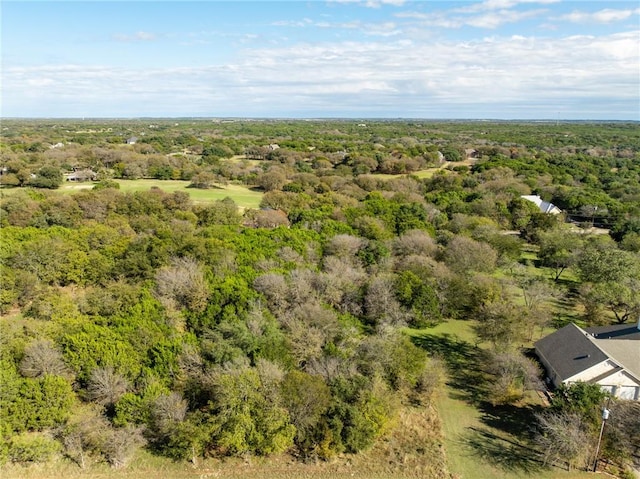 17124 Trailwood Dr, Whitney TX, 76692 land for sale