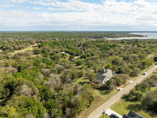 Listing photo 3 for 17124 Trailwood Dr, Whitney TX 76692