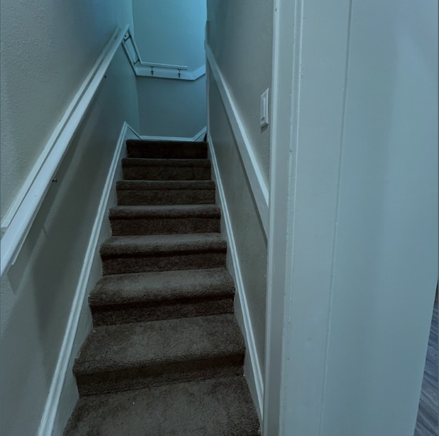 stairway with carpet