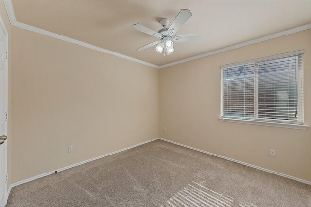 unfurnished room featuring carpet flooring, ceiling fan, and ornamental molding