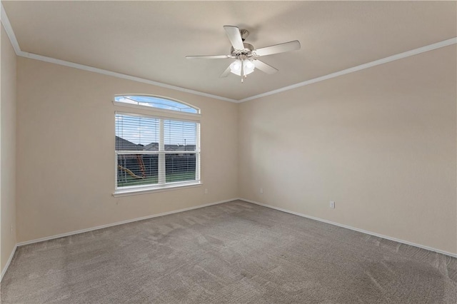 carpeted spare room featuring ceiling fan and crown molding