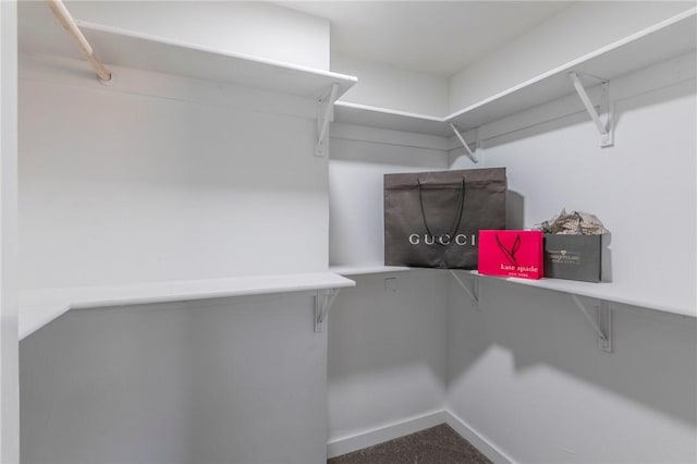 walk in closet with carpet floors