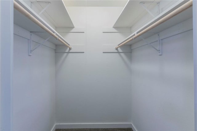 spacious closet featuring carpet floors