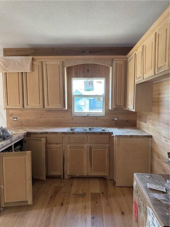 kitchen with sink, a textured ceiling, and light hardwood / wood-style floors