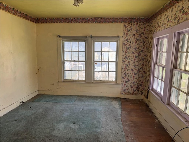 unfurnished room with dark wood-type flooring