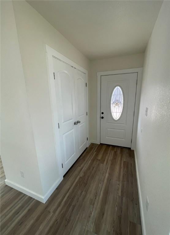 entryway featuring dark hardwood / wood-style flooring