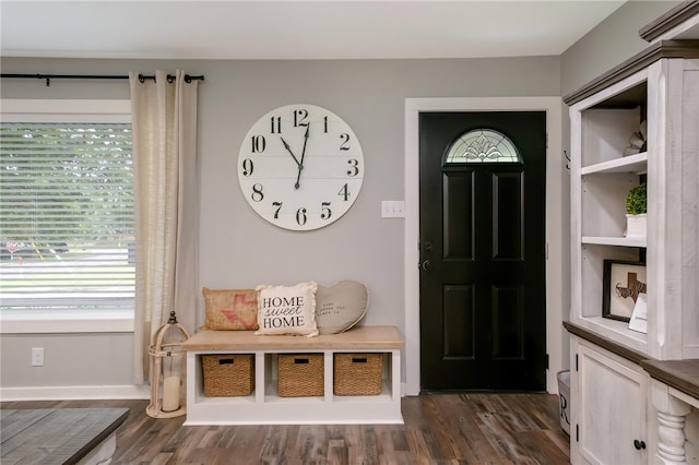 entrance foyer featuring dark wood-type flooring