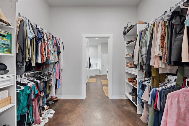 view of walk in closet