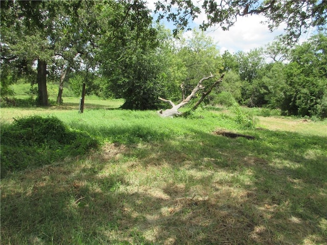 00 Roosevelt St, Marlin TX, 76661 land for sale