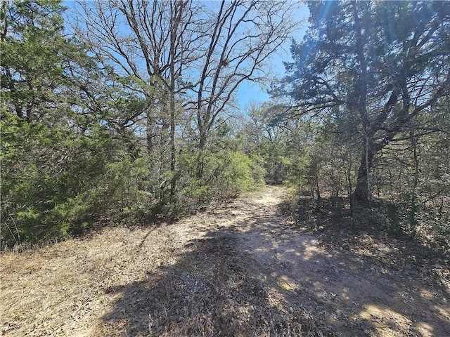 view of local wilderness with a wooded view