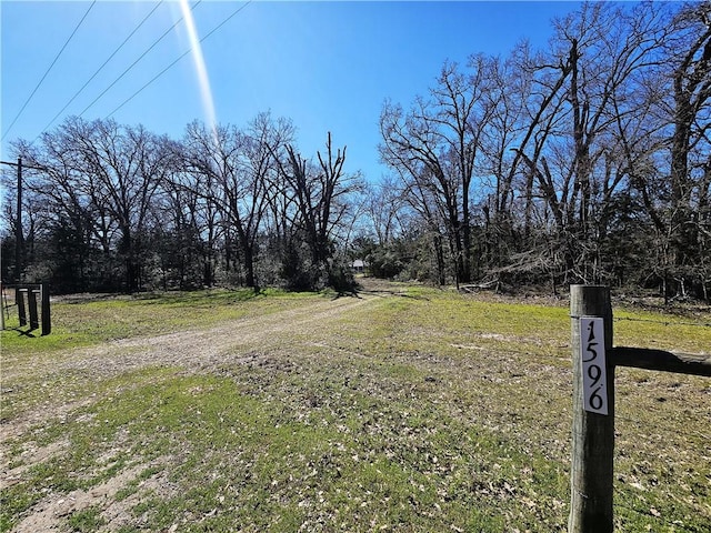 view of yard featuring dirt driveway