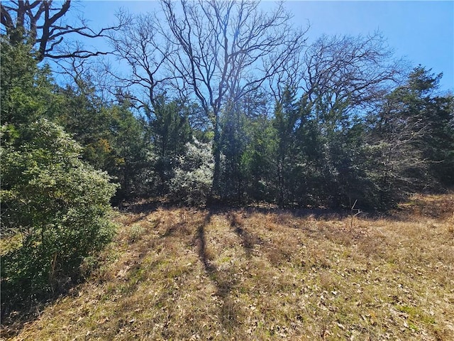 view of landscape