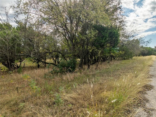 38063 Brookside Dr, Whitney TX, 76692 land for sale