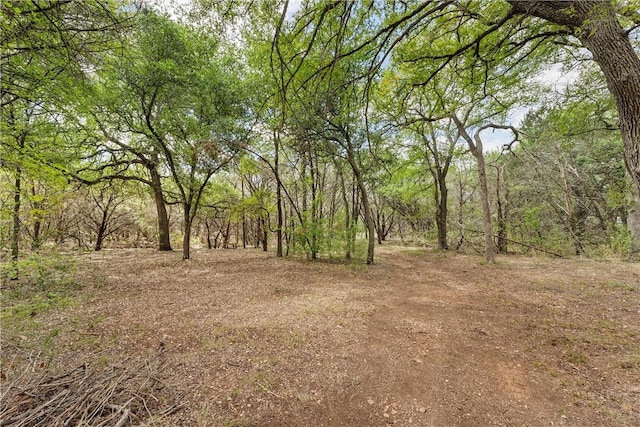 view of local wilderness