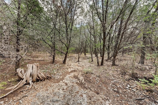 view of local wilderness