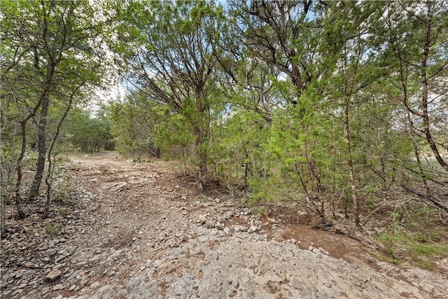 view of local wilderness