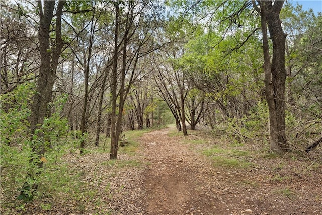 view of landscape