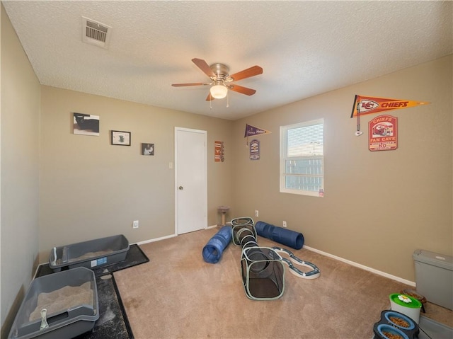 workout room featuring carpet flooring, ceiling fan, and a textured ceiling