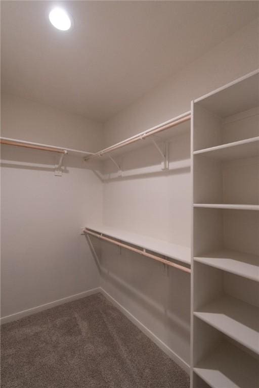 walk in closet with carpet