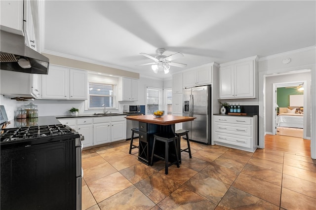 kitchen featuring ventilation hood, appliances with stainless steel finishes, ceiling fan, and a sink