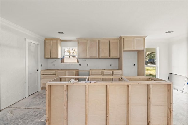 kitchen with light brown cabinetry, plenty of natural light, a kitchen island, and ornamental molding