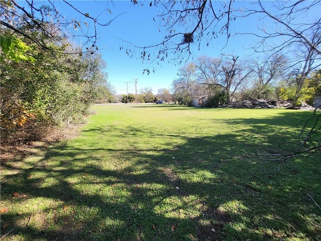 view of yard