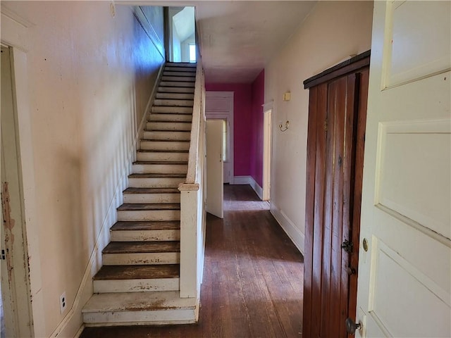 stairs with hardwood / wood-style flooring