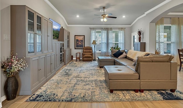 living room featuring light hardwood / wood-style floors, ceiling fan, and crown molding