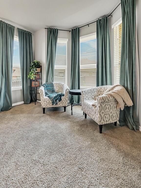 sitting room featuring carpet flooring and a wealth of natural light