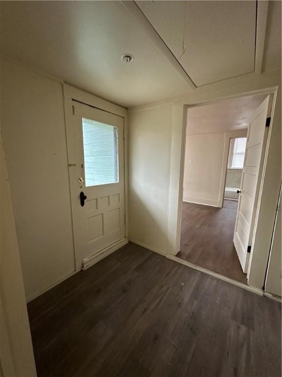 doorway featuring dark wood-type flooring