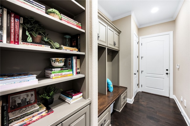 mudroom featuring crown molding and dark wood-type flooring