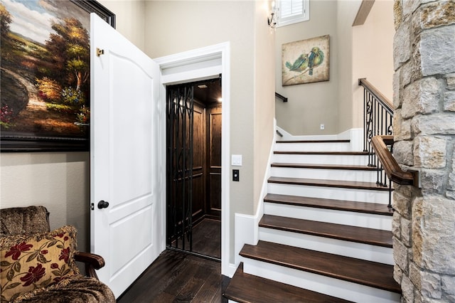 staircase with hardwood / wood-style flooring