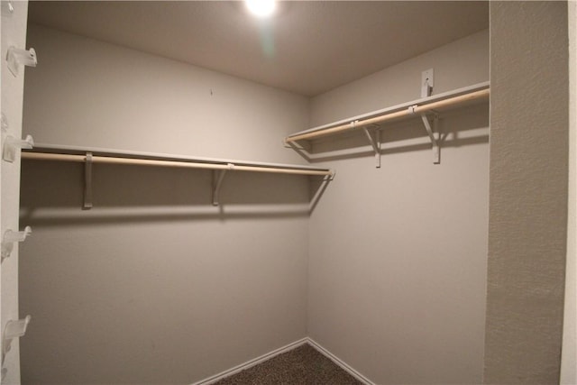 spacious closet featuring carpet